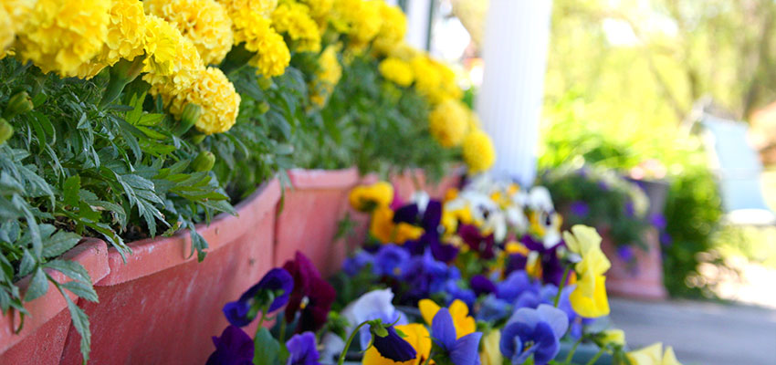 Atascadero Memory Care Assited Living - Hospice Care - Golden Years Resort